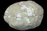 Keokuk Quartz Geode with Calcite - Missouri #144774-1